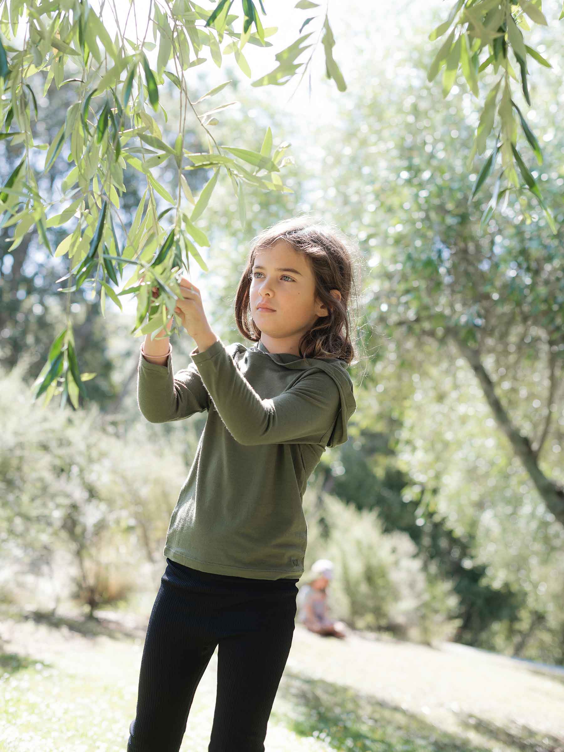 Trailhead Merino Hoodie Moss