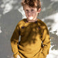 Augustin Sweater Kelp